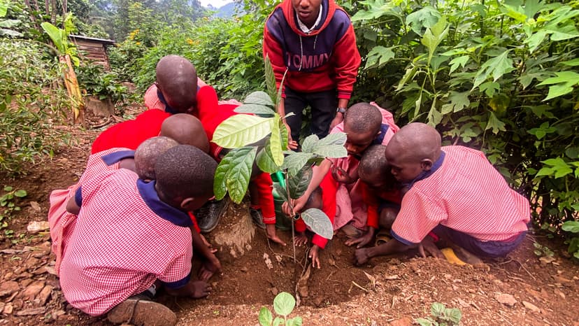 Environmental conservation initiatives