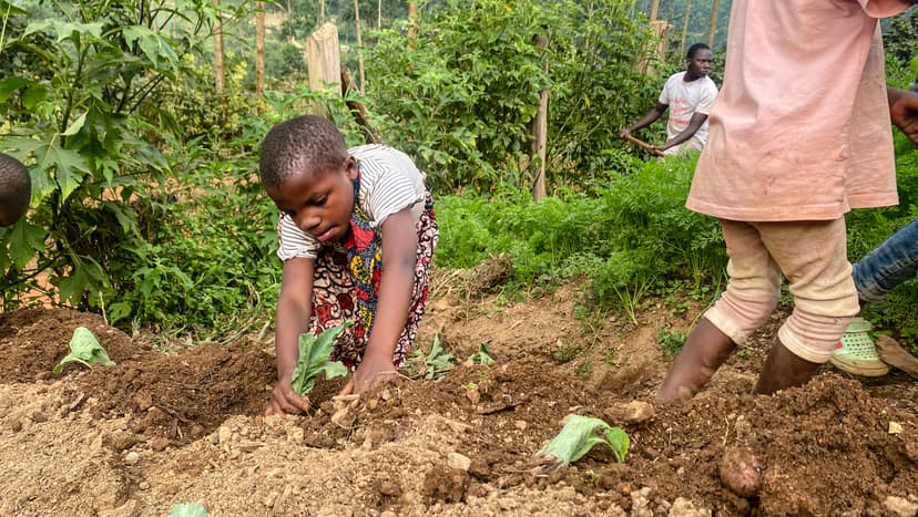 School-based conservation and nature clubs