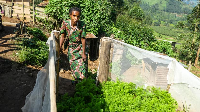 Community empowerment and sustainable livelihoods